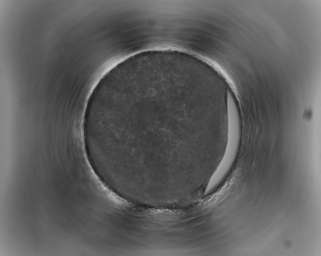 X0000099490943200805291104