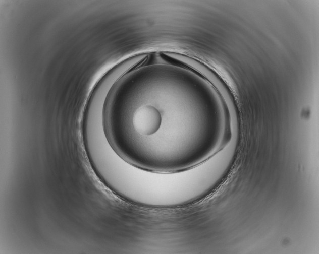 X0000099490944200805291104