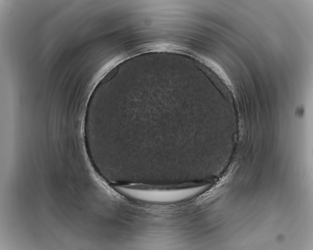 X0000099490946200805291104