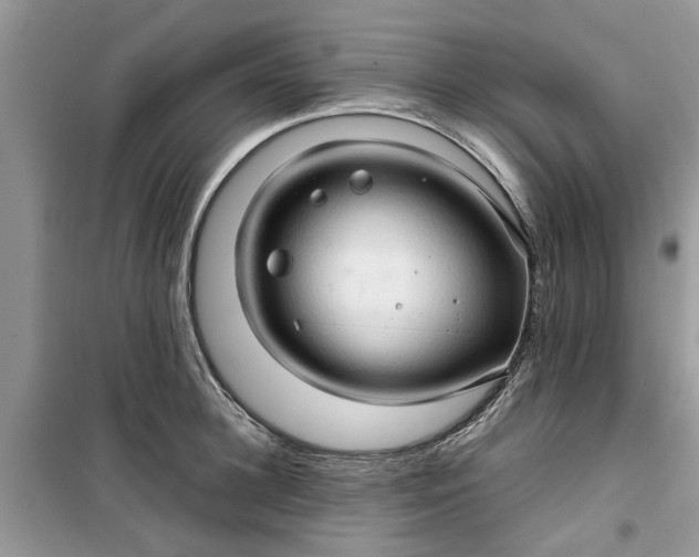 X0000099490948200805291104