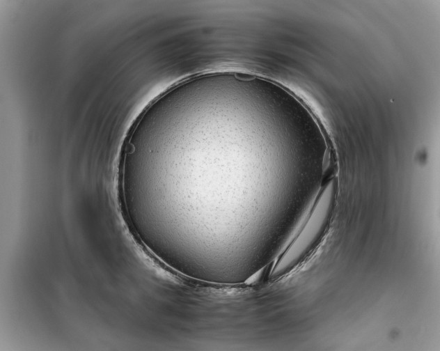 X0000099490949200805291104