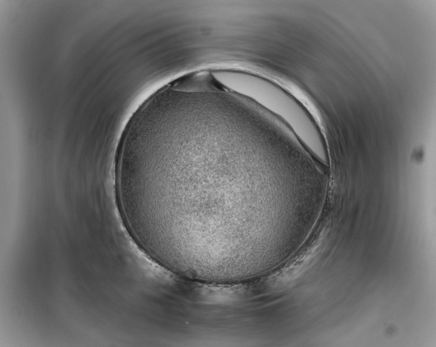 X0000099490951200805291104