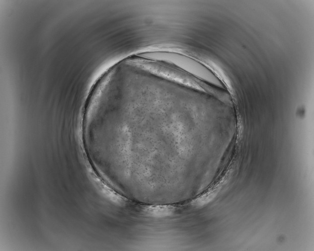 X0000099490952200805291104