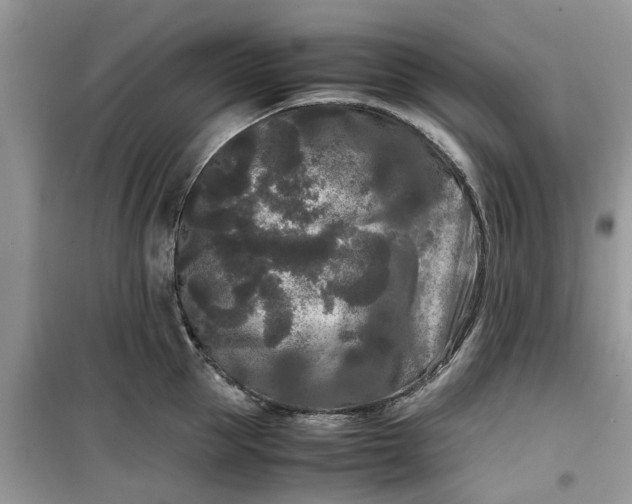 X0000099490953200805291104