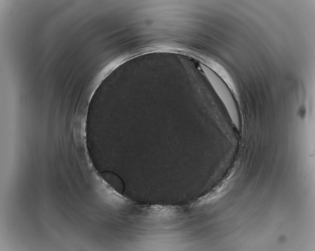 X0000099490954200805291104