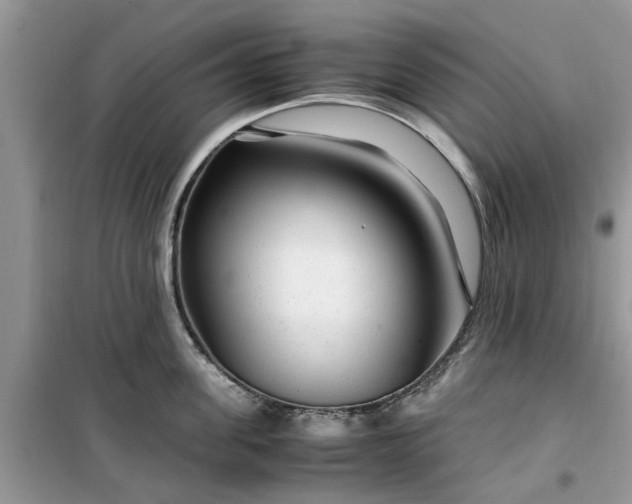 X0000099490955200805291104