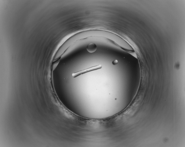 X0000099490956200805291104