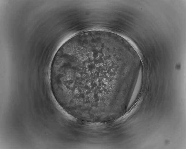 X0000099490957200805291104