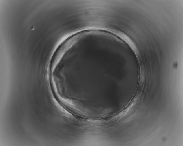 X0000099490958200805291104