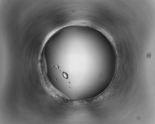 X0000099490960200805291104