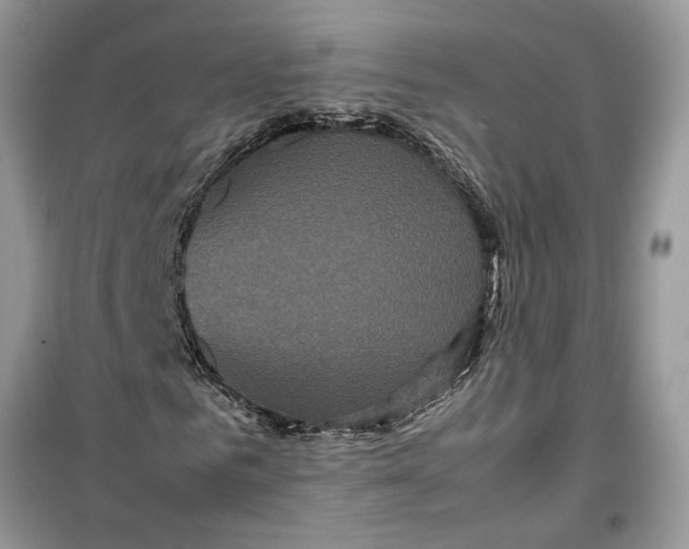 X0000099490961200805291103