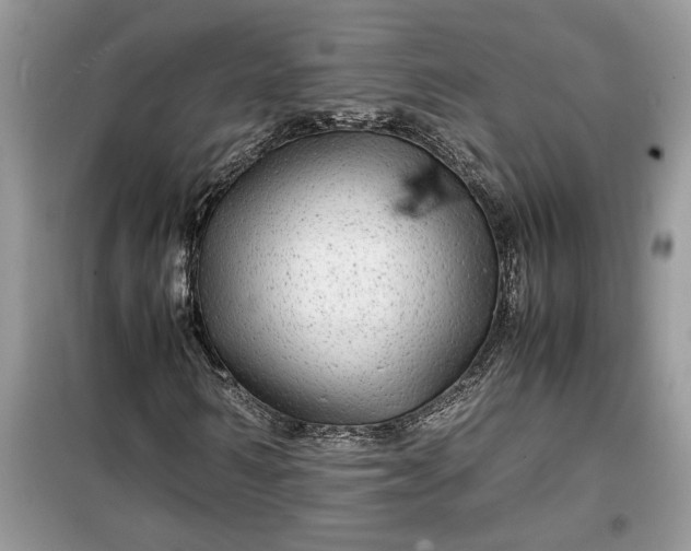 X0000099490962200805291103