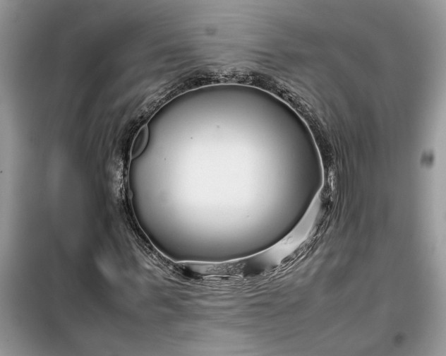 X0000099490963200805291103