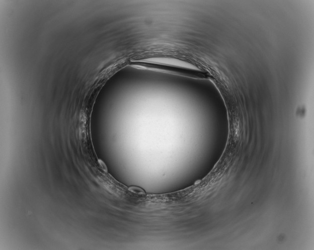 X0000099490964200805291103