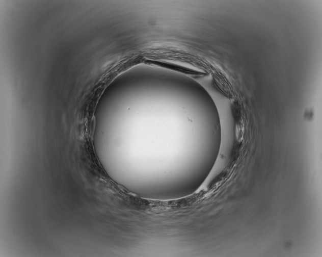 X0000099490965200805291103