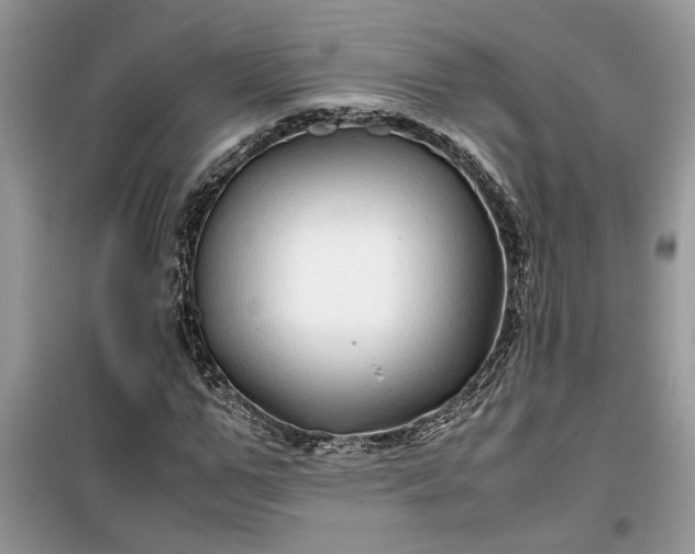 X0000099490967200805291103