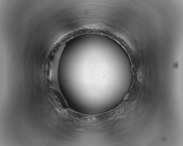 X0000099490968200805291103