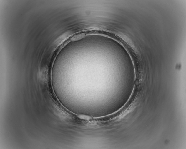 X0000099490969200805291103