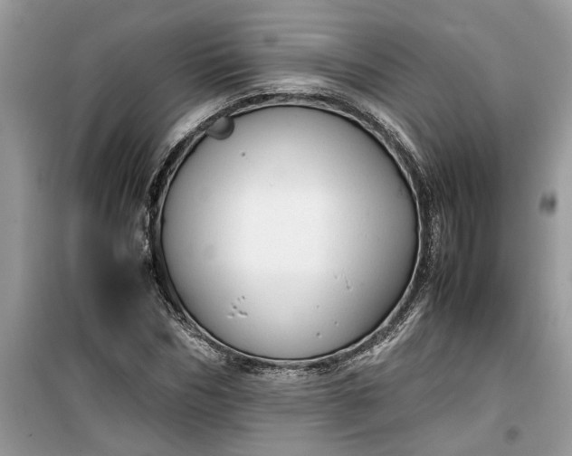 X0000099490970200805291103