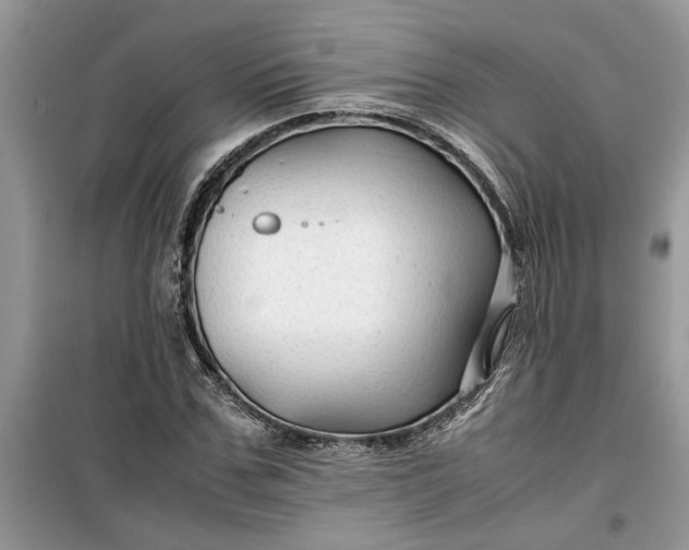 X0000099490971200805291103