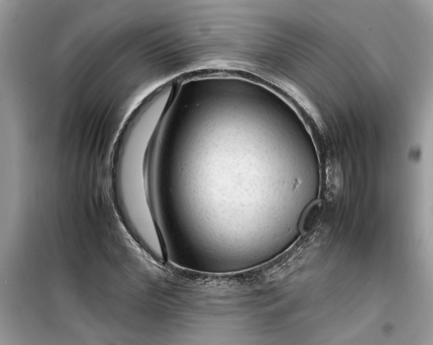 X0000099490972200805291103