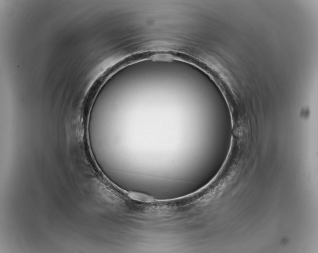 X0000099490973200805291103