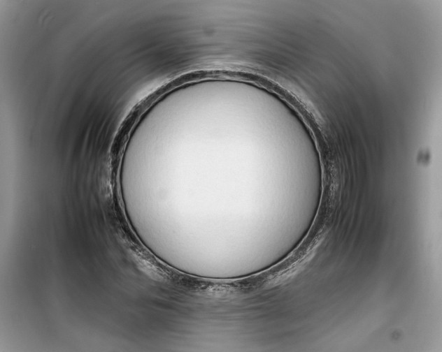 X0000099490974200805291103