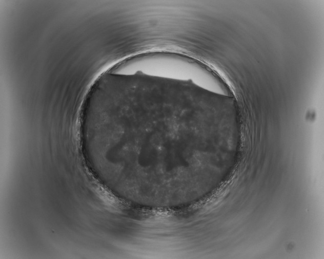 X0000099490975200805291103