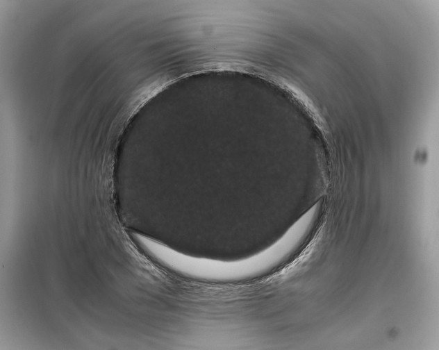 X0000099490977200805291103