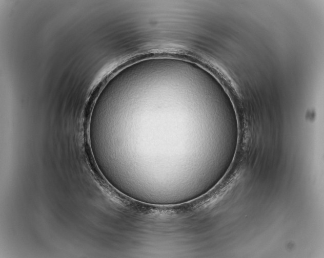 X0000099490978200805291103