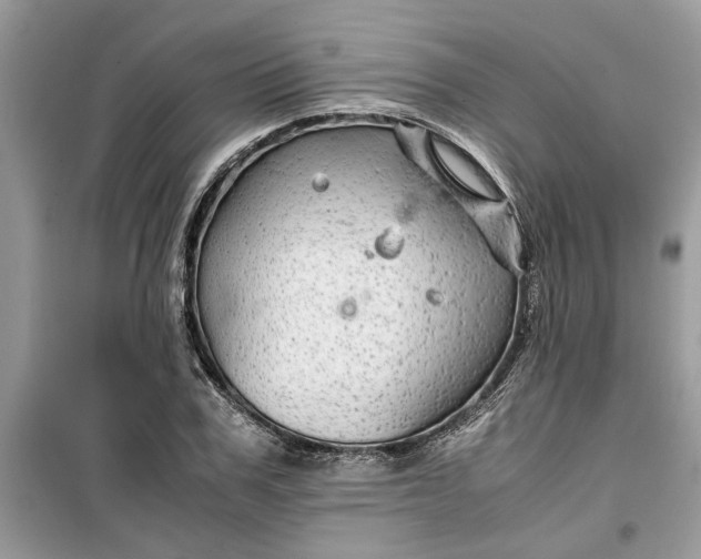 X0000099490979200805291103