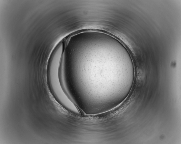 X0000099490980200805291103