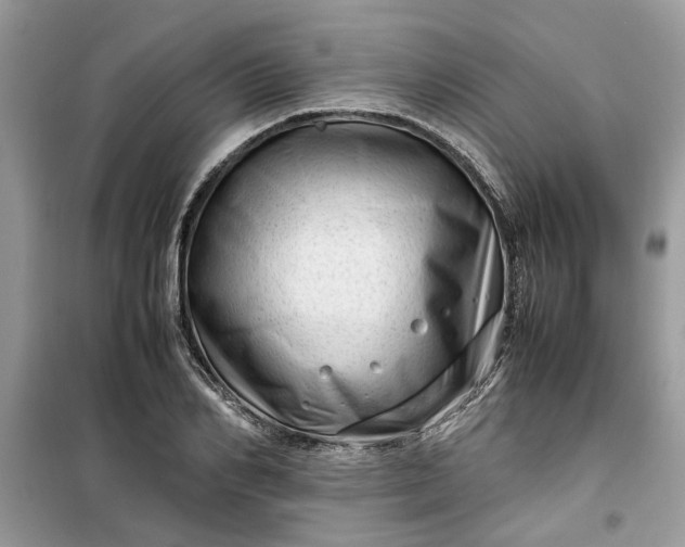 X0000099490982200805291103