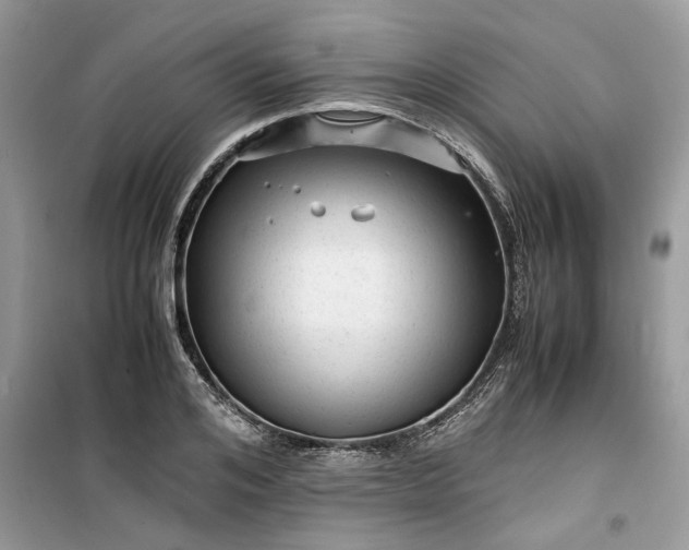 X0000099490984200805291103