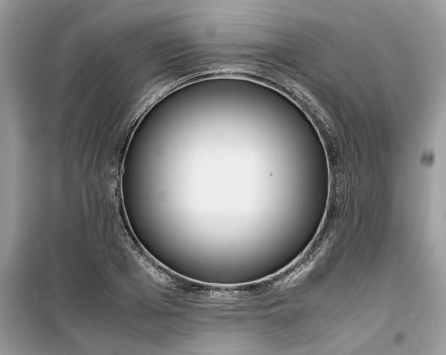 X0000099490985200805291103