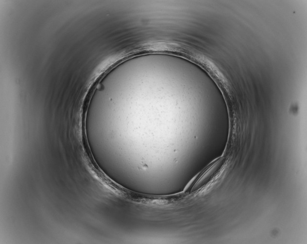 X0000099490986200805291103