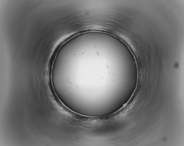 X0000099490987200805291103