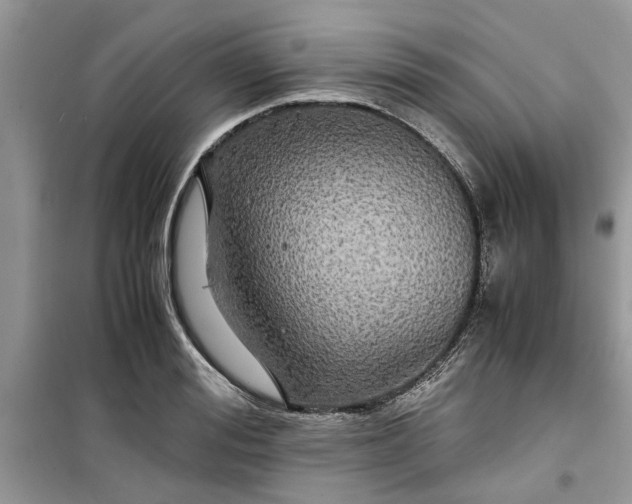 X0000099490988200805291103