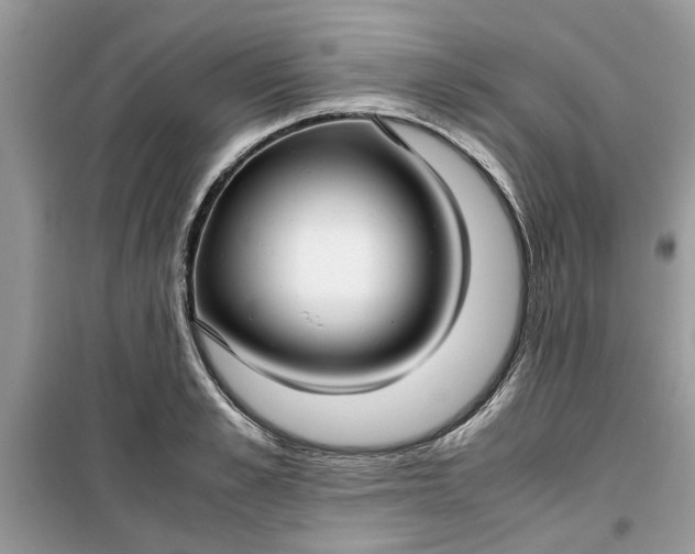 X0000099490989200805291103