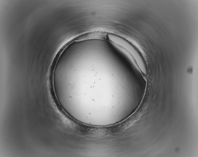 X0000099490991200805291103