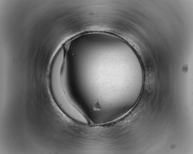 X0000099490992200805291103