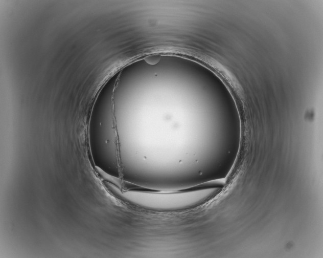 X0000099490993200805291103