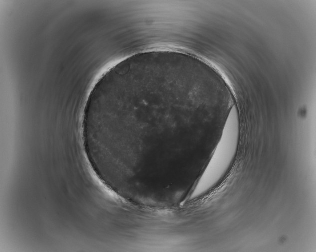 X0000099490995200805291103