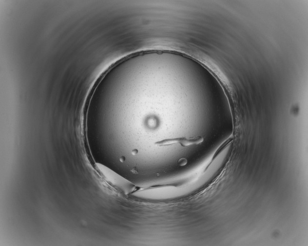 X0000099490996200805291103