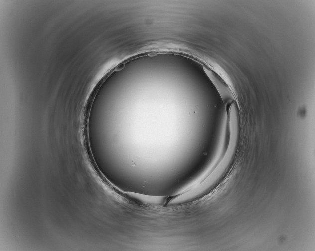 X0000099490997200805291103