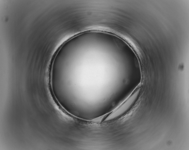 X0000099490999200805291103