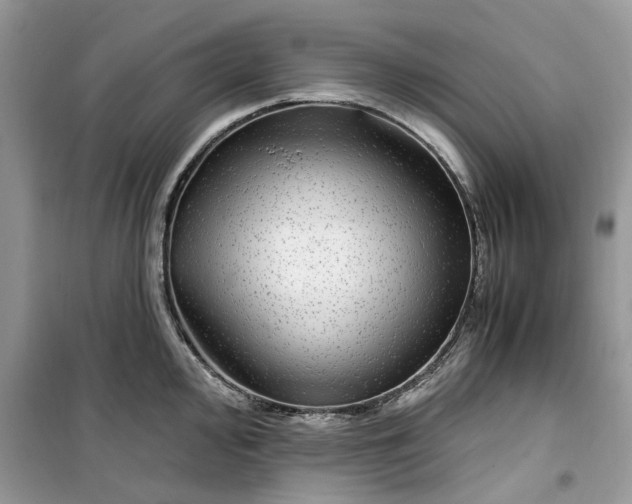 X0000099491000200805291103