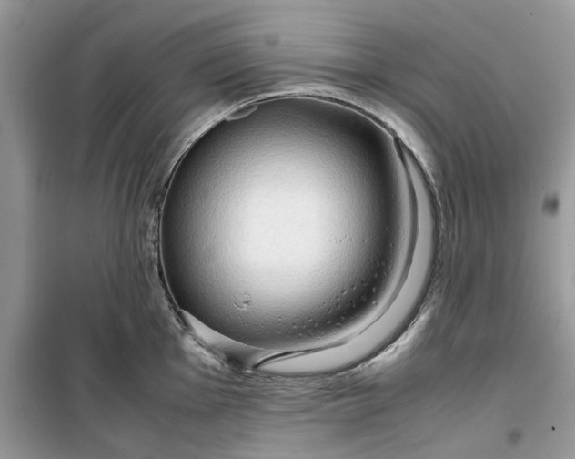 X0000099491001200805291103