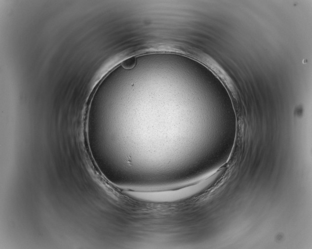 X0000099491002200805291103