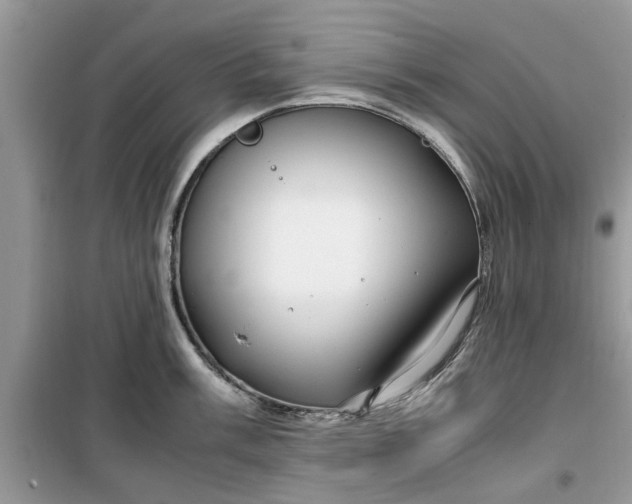 X0000099491003200805291103